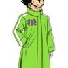 Dragon Ball Super Broly Ryo Horikawa Vegeta Sab Green Coat