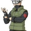 Naruto Shippūden Green Flack Kakashi Hatake Vest